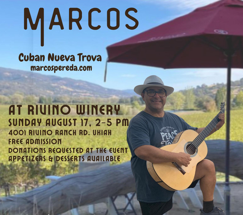 Marcos holding a guitar in front of a vineyard.